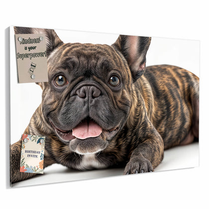 Metall Magnettafel mit dem Motiv Liegende Bulldogge