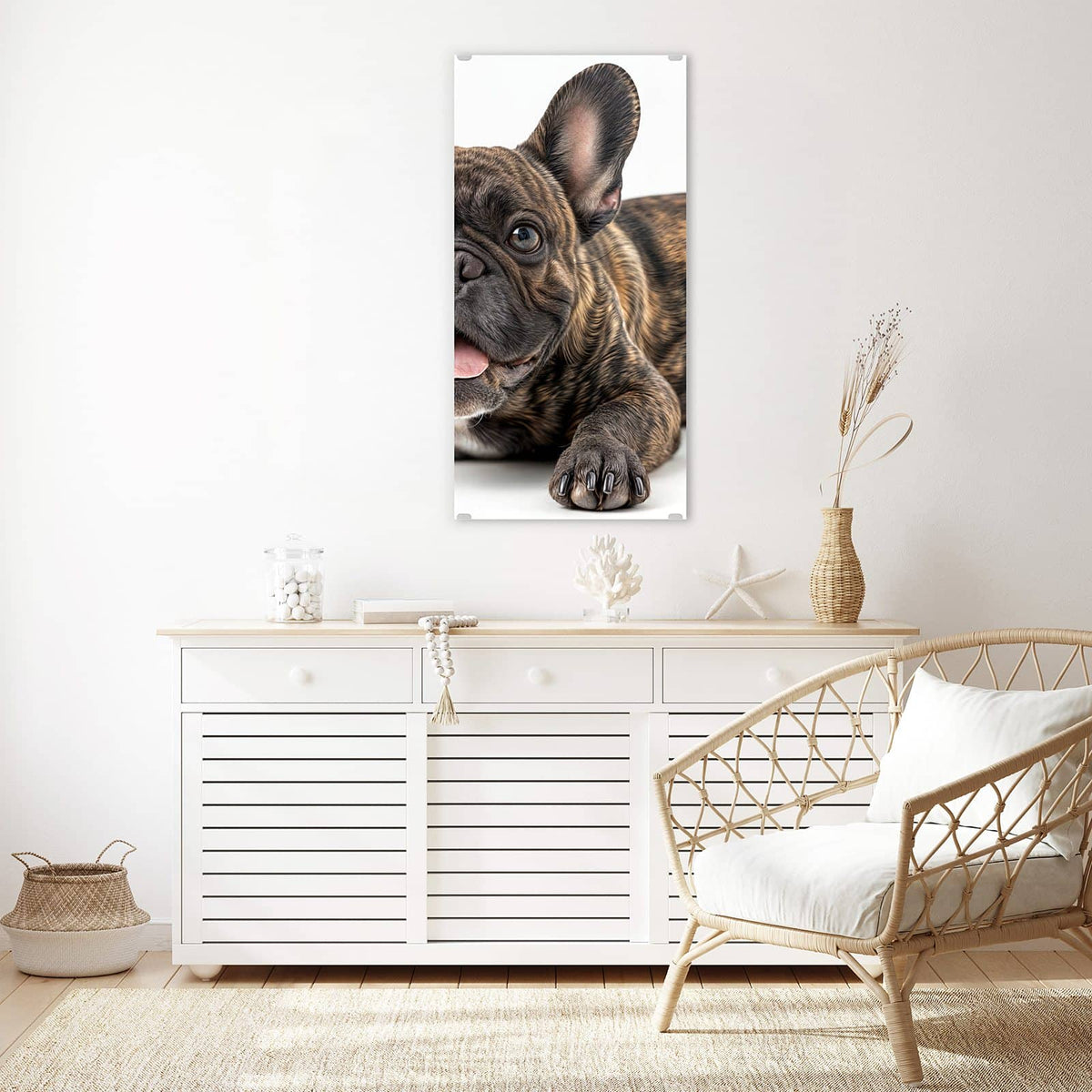 Glasbild Liegende Bulldogge an der Wand – Gestromte Französische Bulldogge liegt frontal, Zunge heraus, weißer Hintergrund