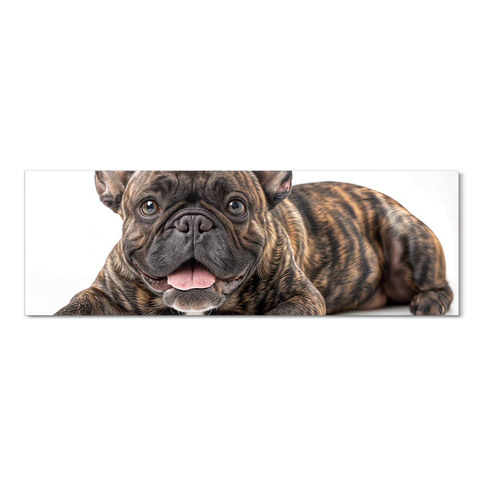 Geräuschdämpfender Küchenteppich mit Motiv Bulldogge von Französische in Frontansicht