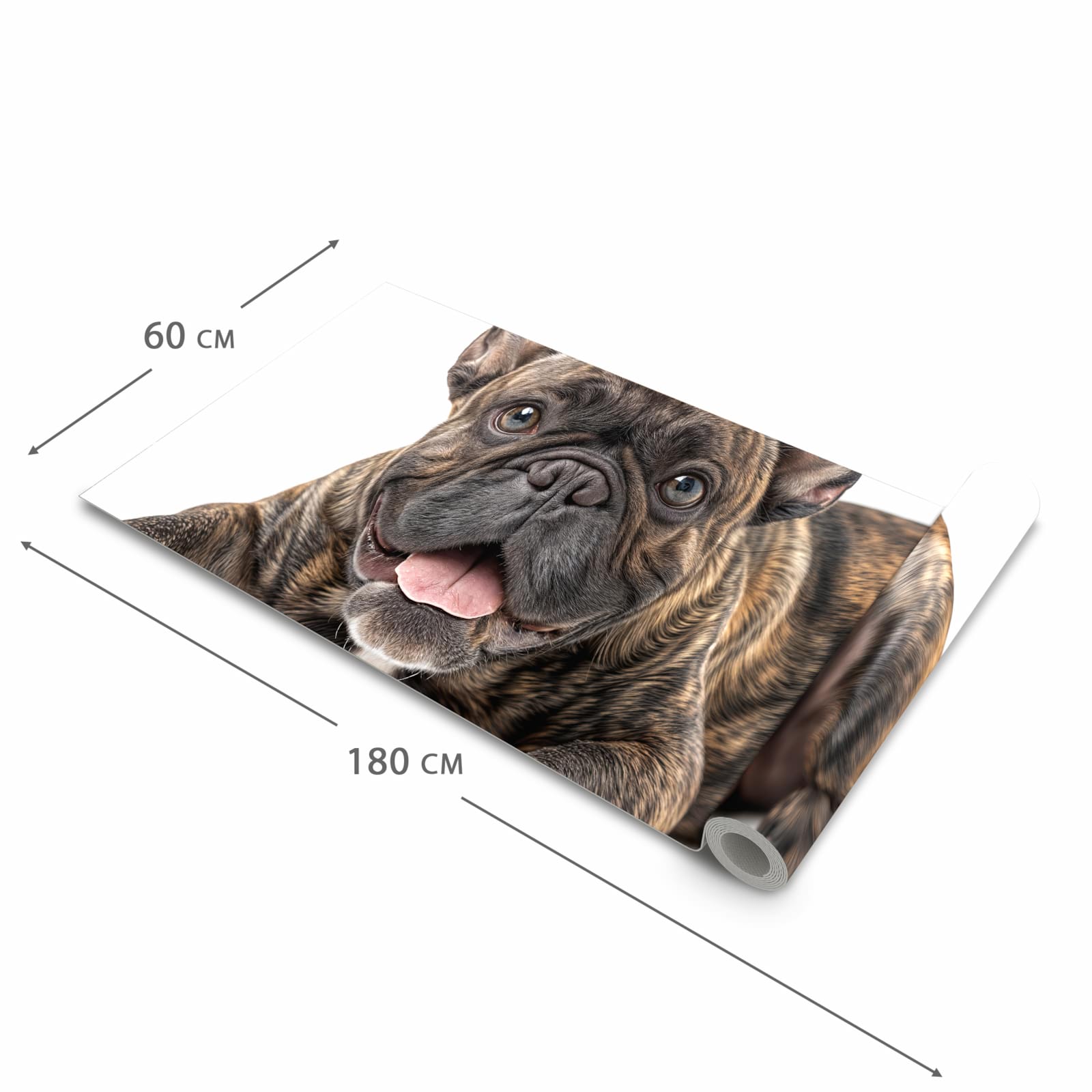 Langlebiger dünner Küchenteppich mit Motiv Bulldogge von Französische in der Grösse 90x240 cm