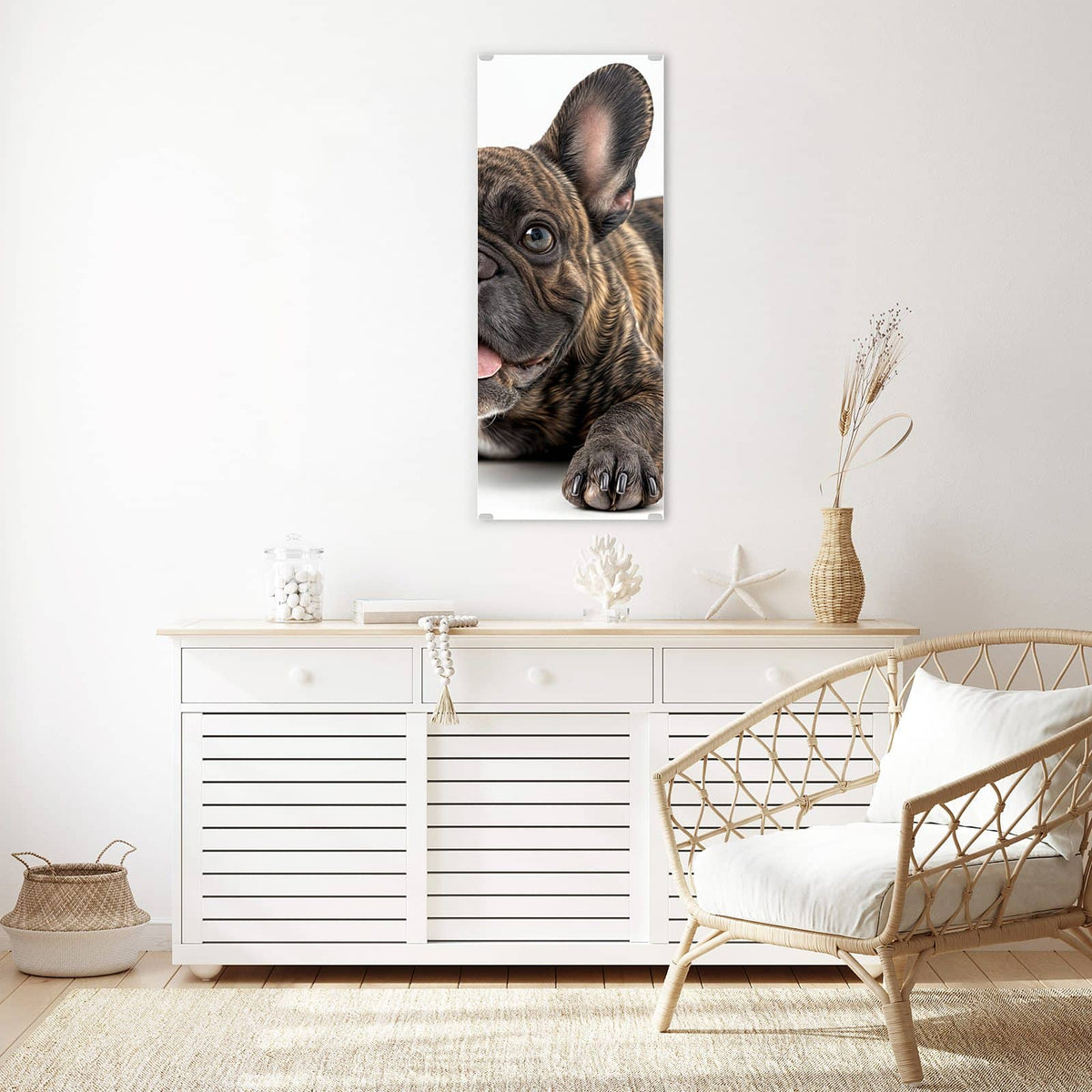 Gestromte Französische Bulldogge liegt frontal, Zunge heraus, weißer Hintergrund