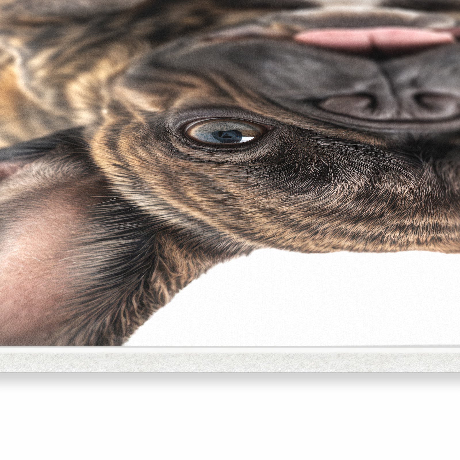 Waschbarer Küchenläufer mit Motiv Bulldogge von Französische in seitlicher Ansicht für sichere Aufbewahrung