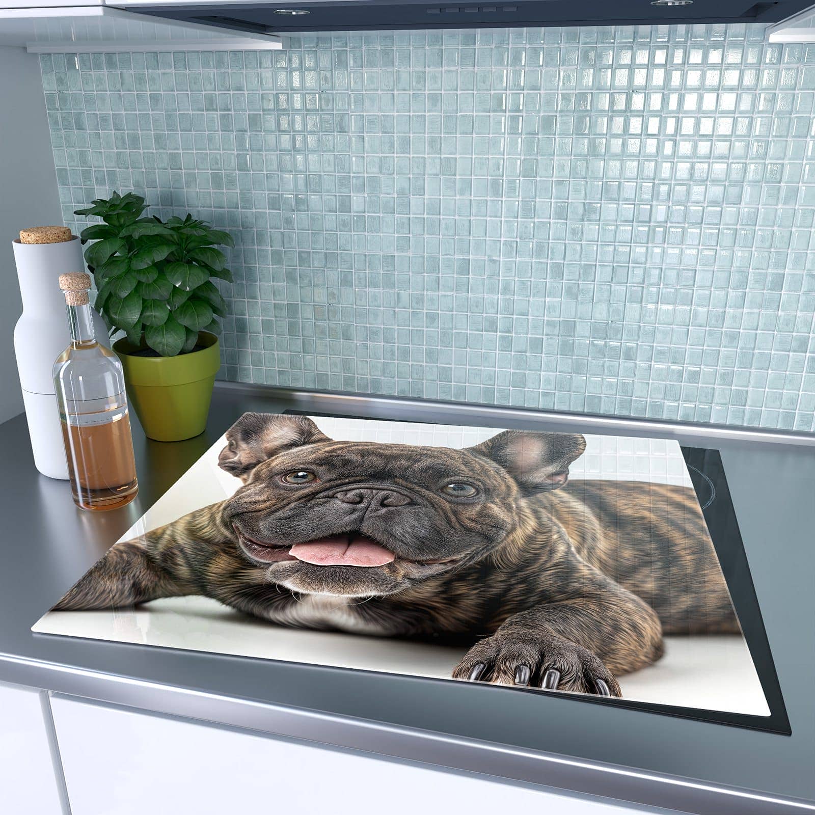 1-teilige Glasplatte für Herd mit Französische Bulldogge Porträt-Motiv auf dem Ceranfeld