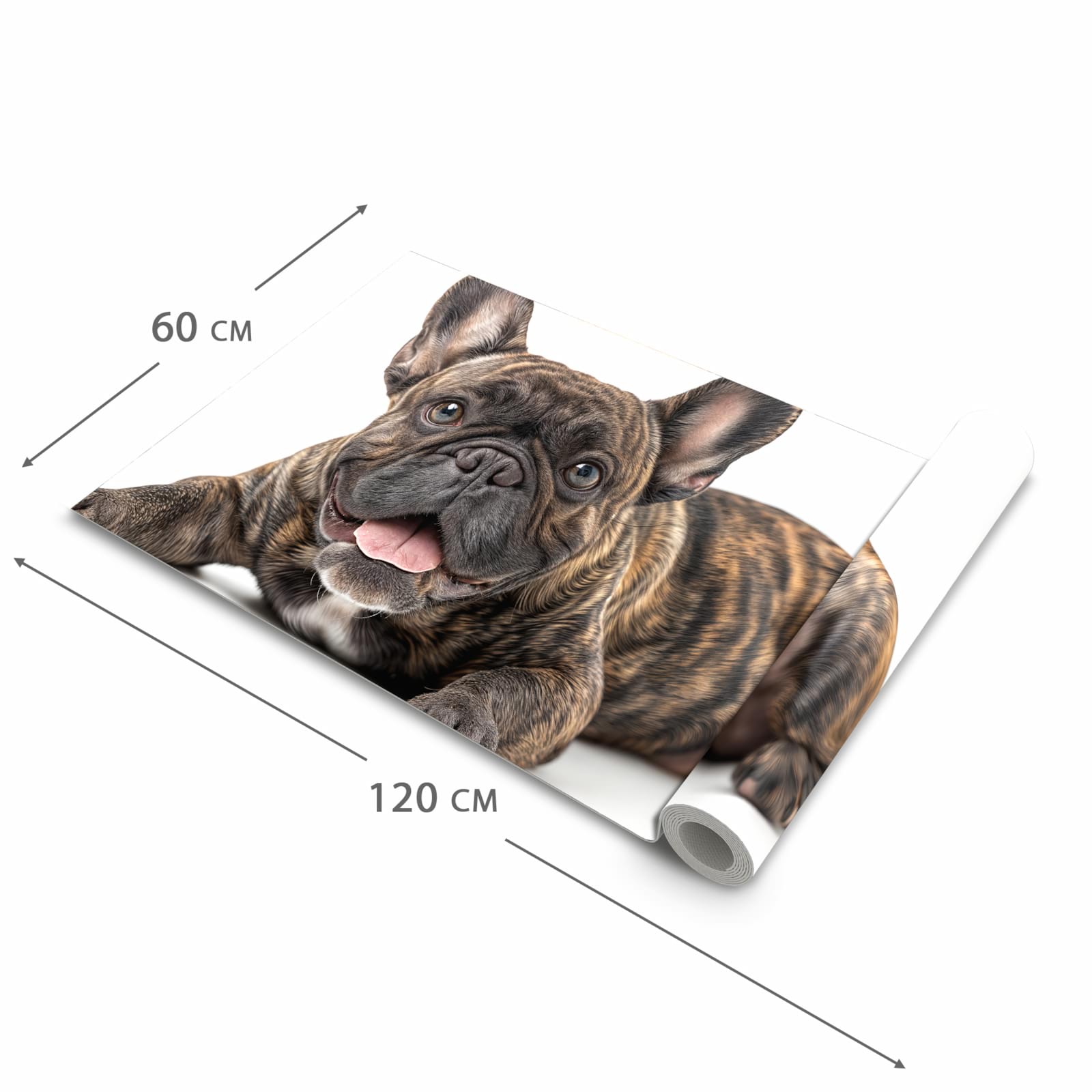 Schmutzabweisender Läufer Eingangsbereich mit Motiv Bulldogge von Französische in der Grösse 90x240 cm