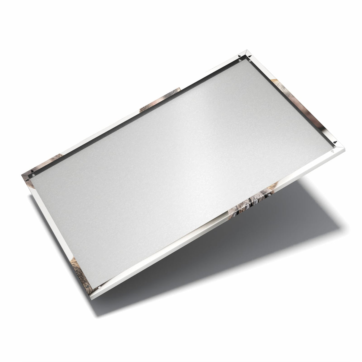 Nur 7 mm – liegt eng an der Wand – Metall Magnettafel - Liegende Bulldogge