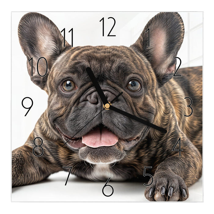 Wanduhr Französische Bulldogge Porträt aus Glas – Quadratisch 30 × 30 cm mit Ziffernblatt Elegant