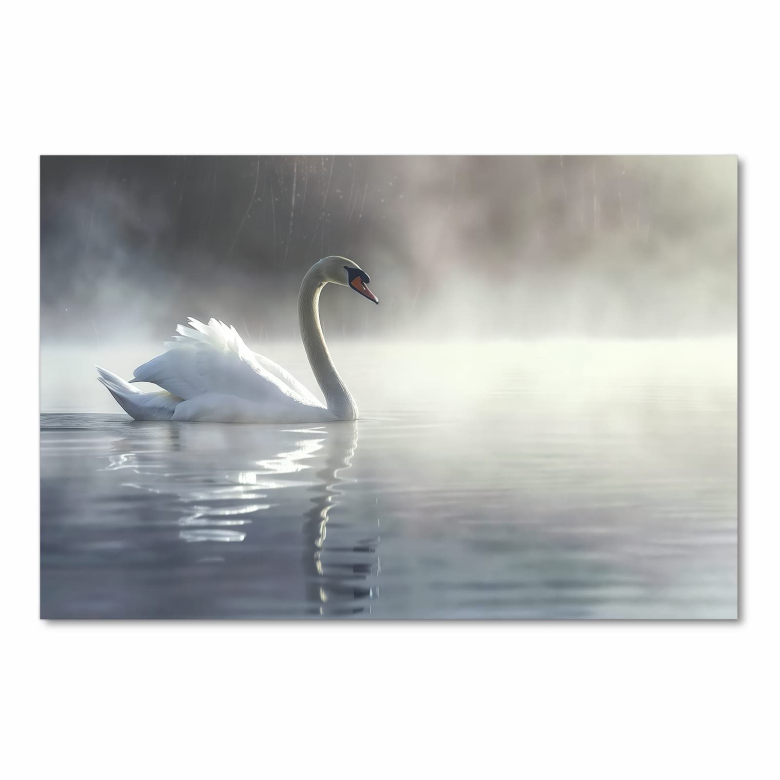 Küchenteppich mit Motiv Schwimmender Schwan in Frontansicht - sicher aufbewahren