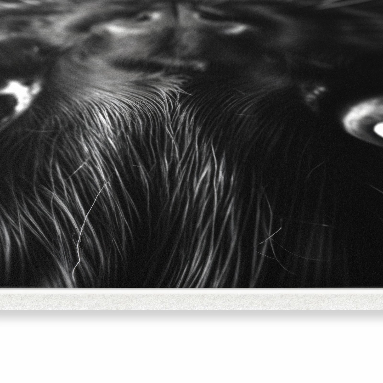 Farbbeständiger Küchenläufer mit Motiv Katzengesicht in seitlicher Ansicht