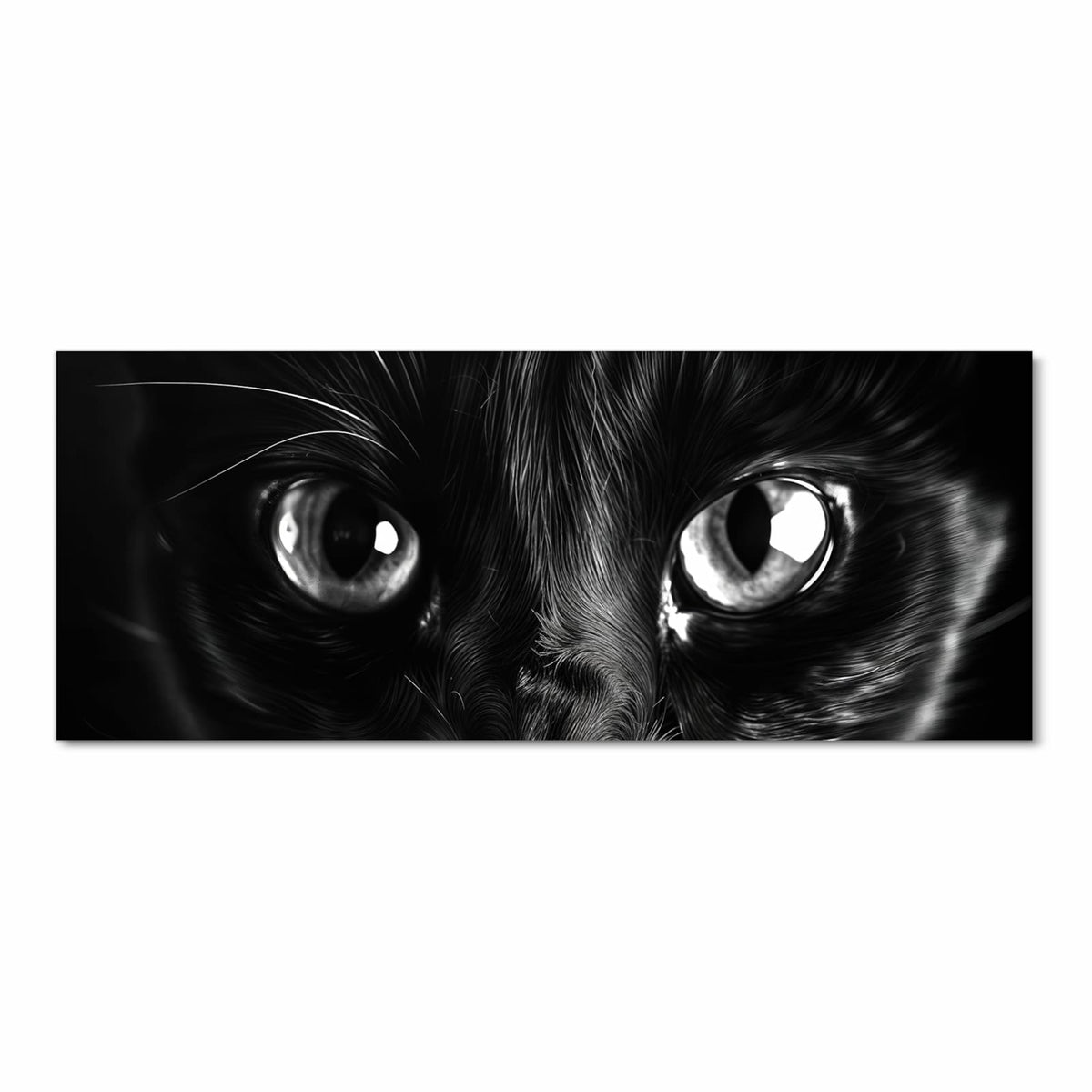 Schwarz-weiße Nahaufnahme eines schwarzen Katzengesichts mit großen hellen Augen