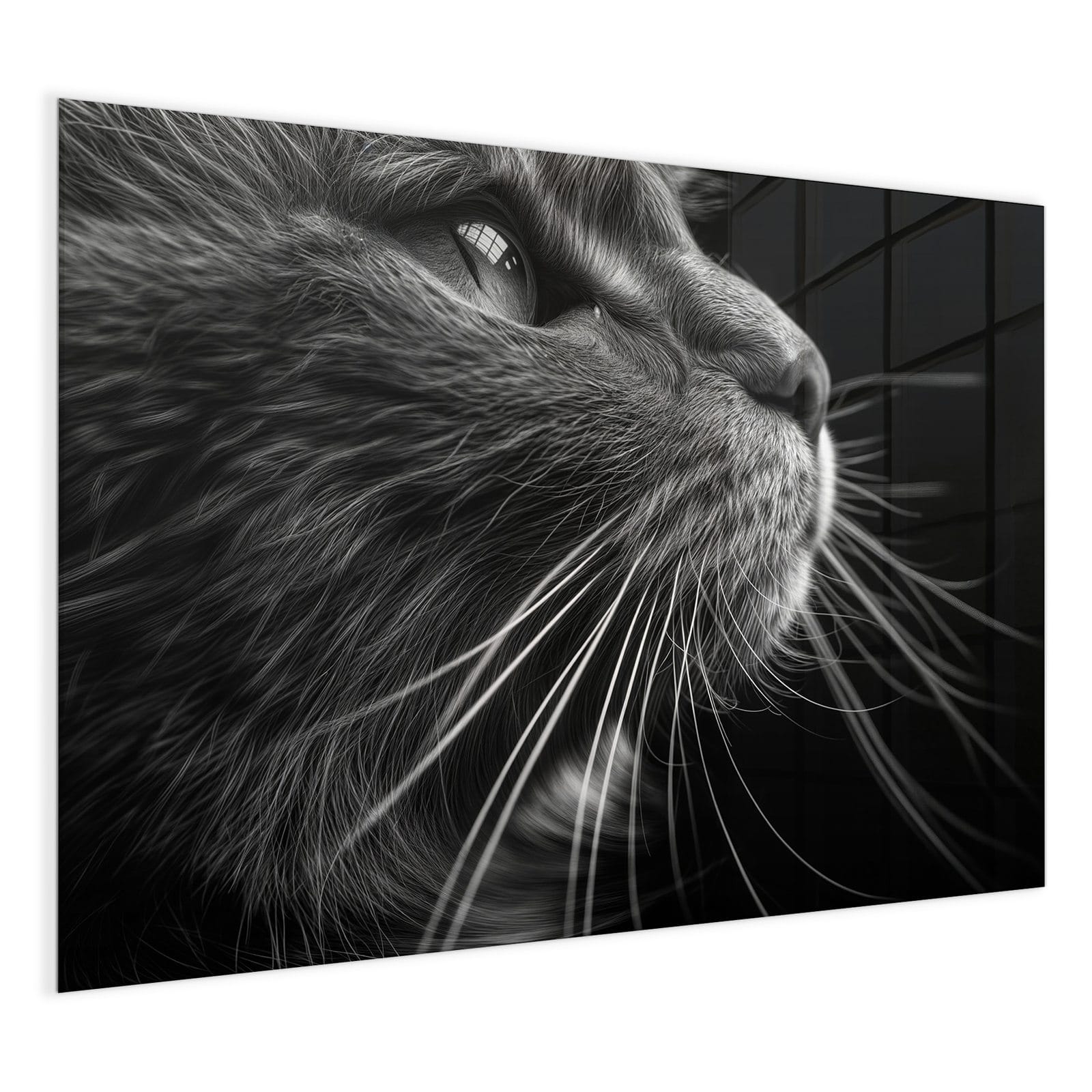 #grösse_120 x 90 cm