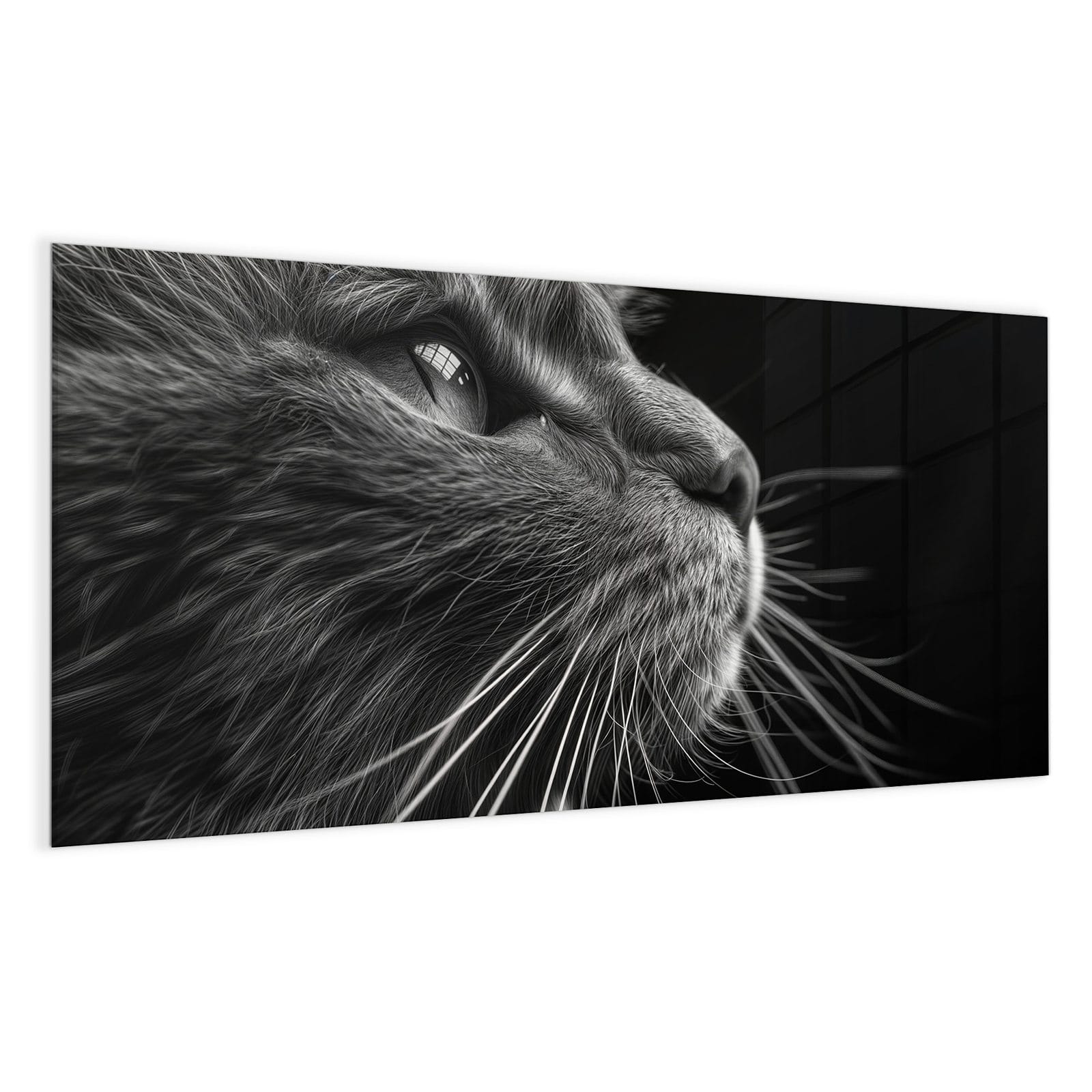 #grösse_100 x 50 cm