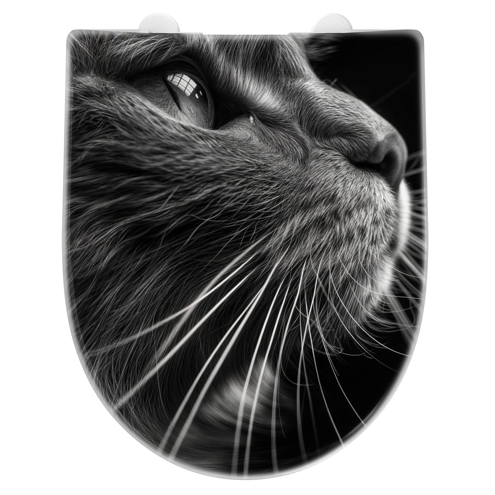 WC-Sitz mit Absenkautomatik Nahaufnahme Katze