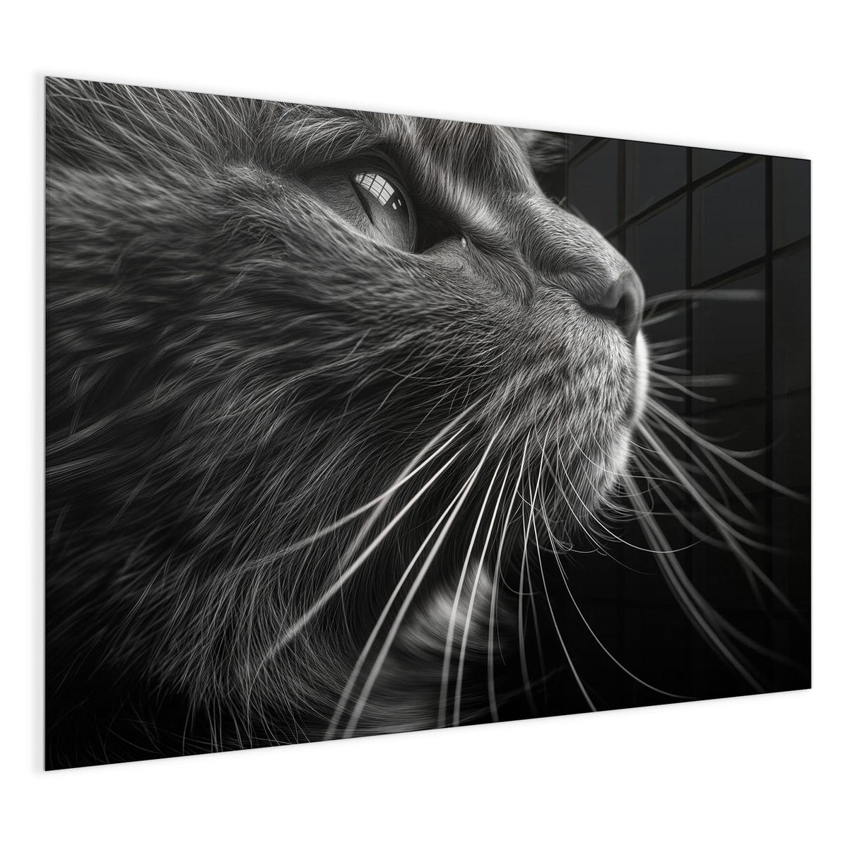 4 mm Glas statt lackiertem Blech – Glas Magnettafel - Katze in Schwarzweiß