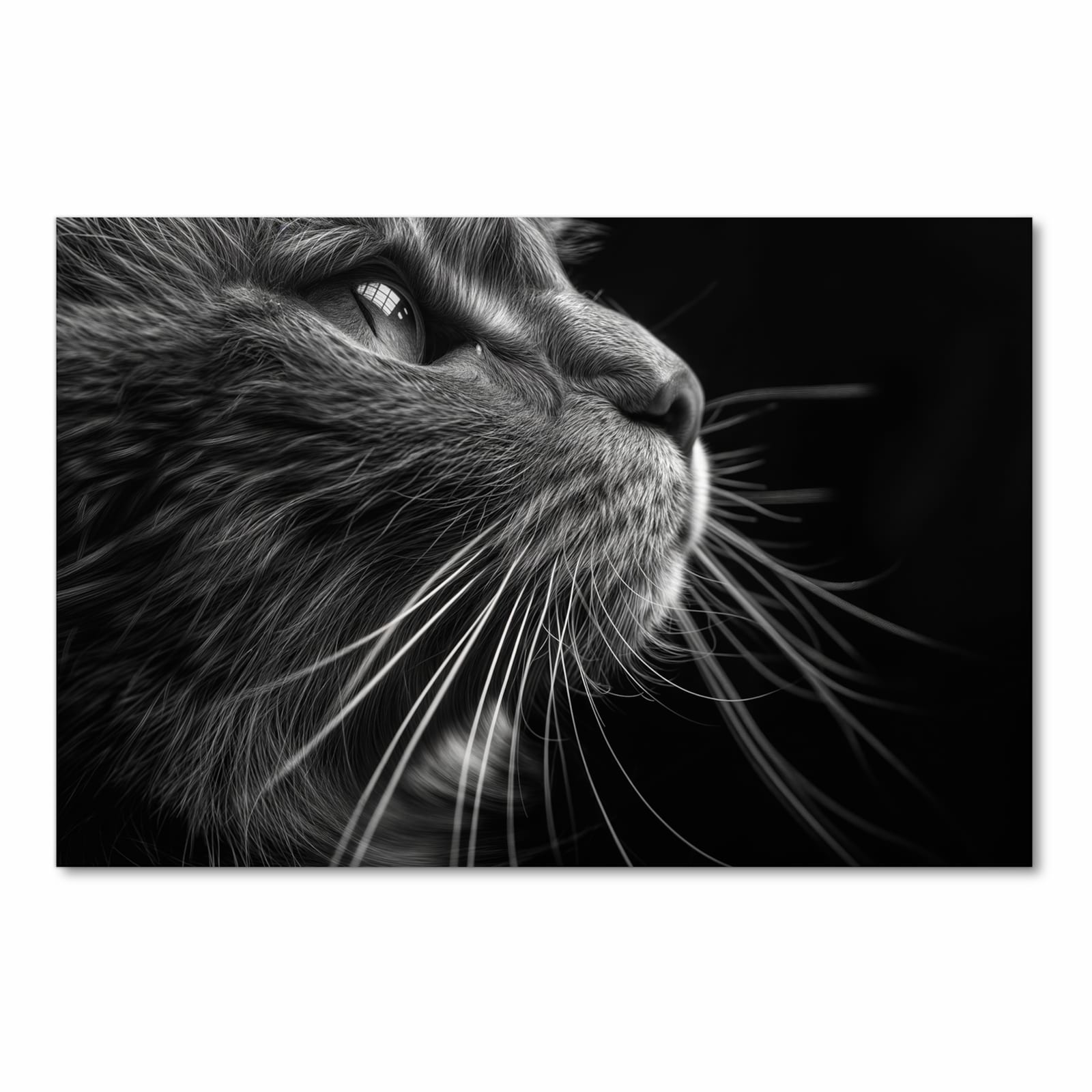 Langlebiger waschbarer Küchenläufer mit Motiv Nahaufnahme Katze in heller Küche