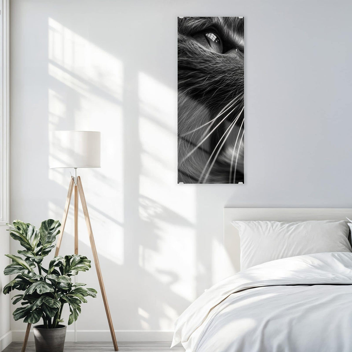 Glasbild Katze in Schwarzweiß an der Wand – Schwarzweiß-Nahaufnahme einer Katze, die nach oben blickt, lange helle Schnurrhaare