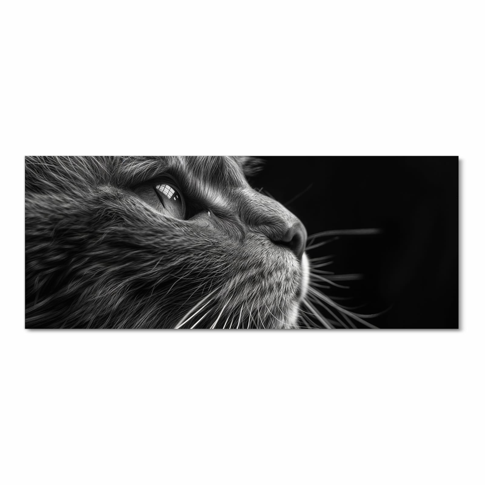 Komfortabler Küchenläufer mit Motiv Nahaufnahme Katze in heller Küche