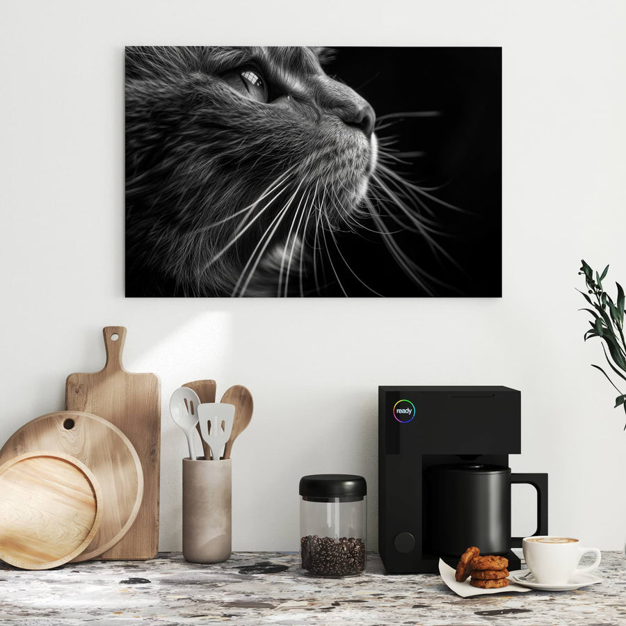 Maße Metall Magnettafel - Katze in Schwarzweiß