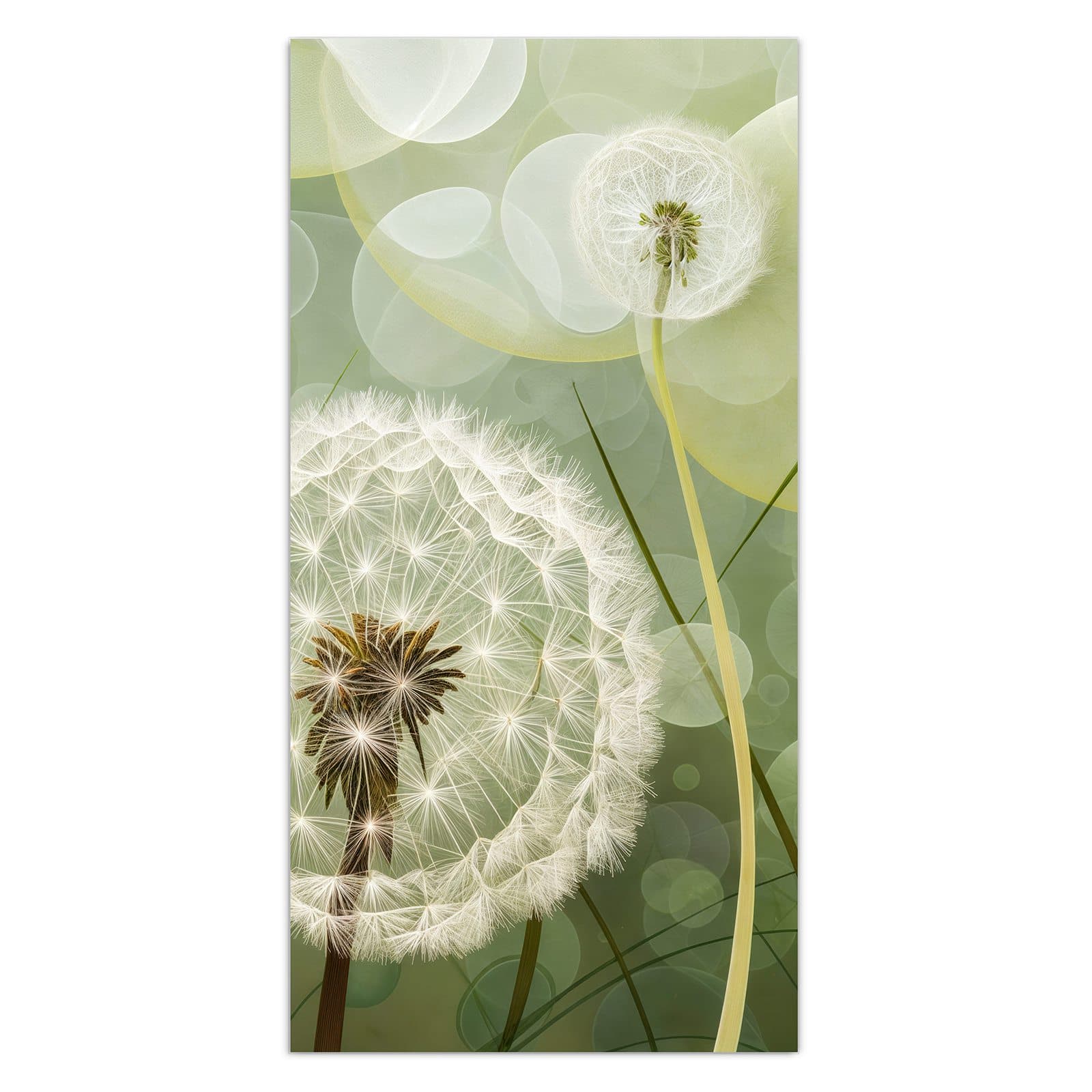 #grösse_30 x 60 cm #grösse_40 x 80 cm #grösse_50 x 100 cm #grösse_55 x 110 cm #grösse_60 x 120 cm