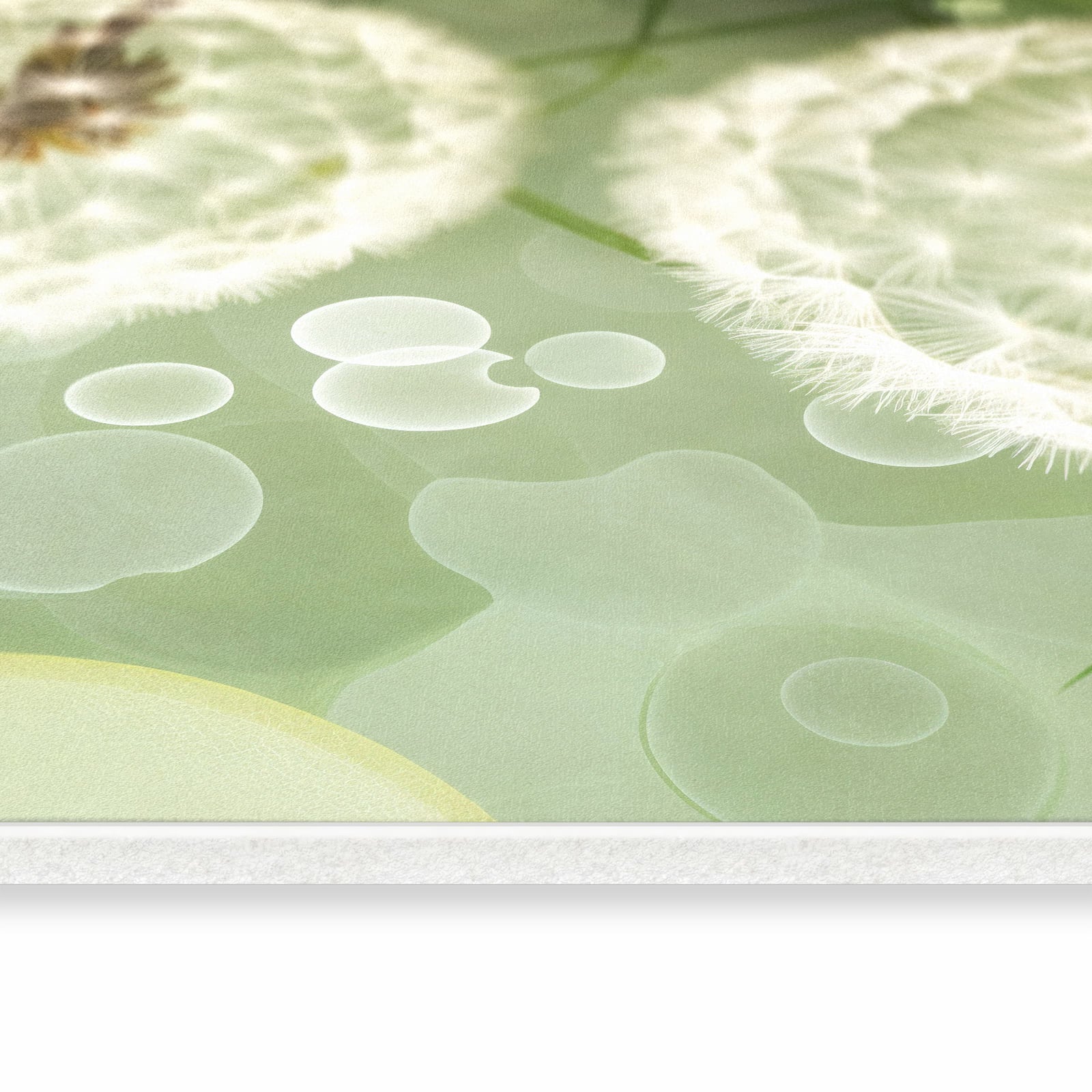 Küchenläufer mit Motiv Löwenzahnzarte Blüten in seitlicher Ansicht für angenehme Haptik