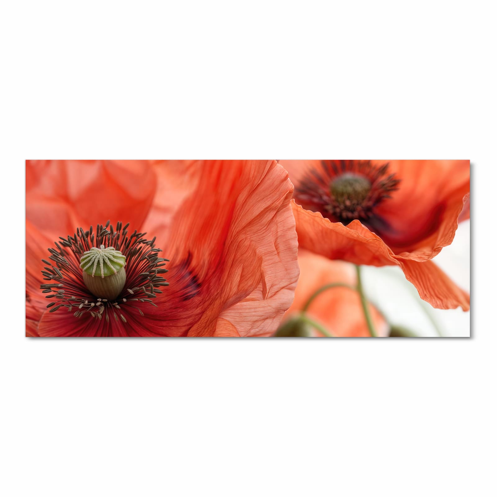 Schmutzabweisender Läufer für die Küche mit Motiv Mohnblüten in Frontansicht