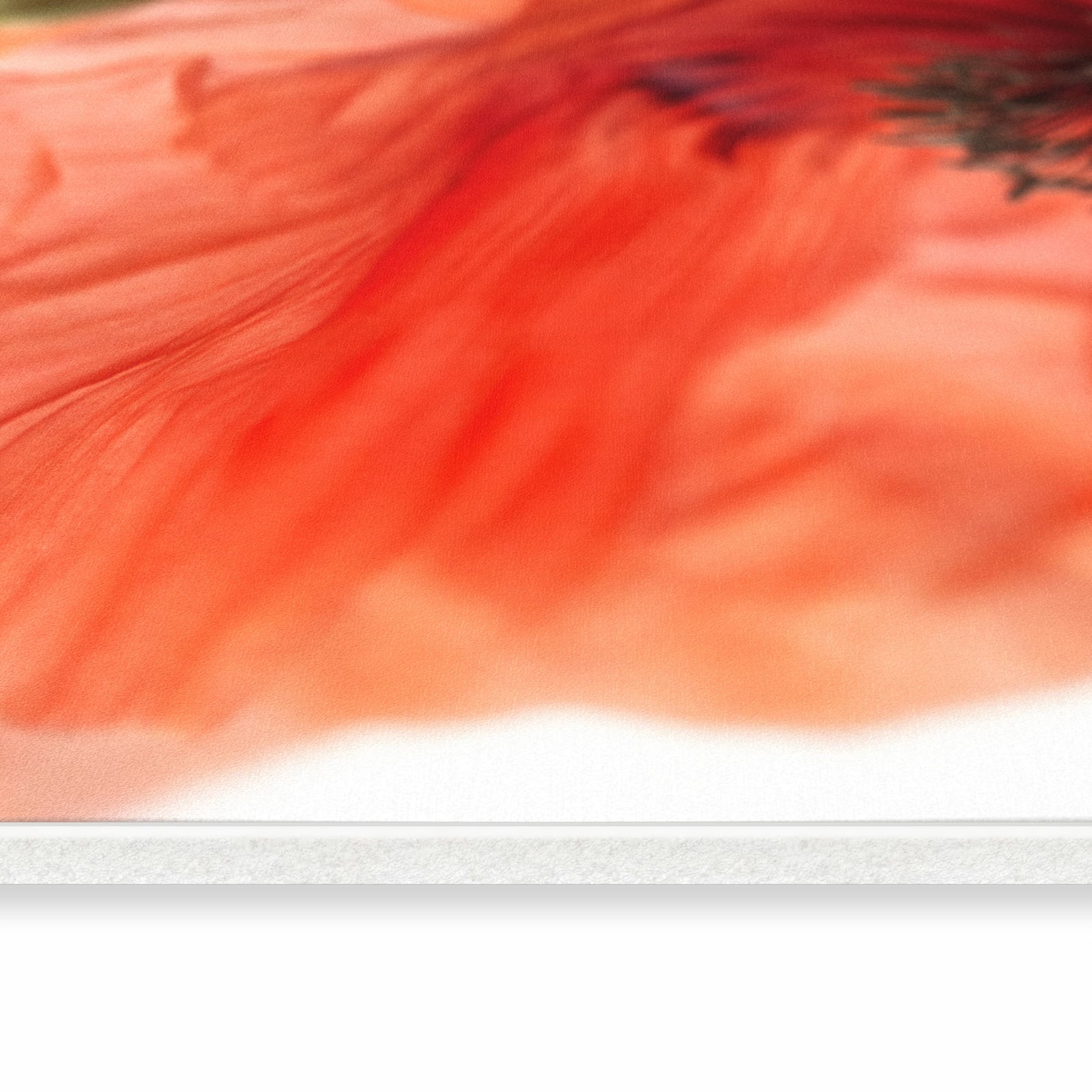 Waschbarer Küchenteppich mit Motiv Mohnblüten in seitlicher Ansicht