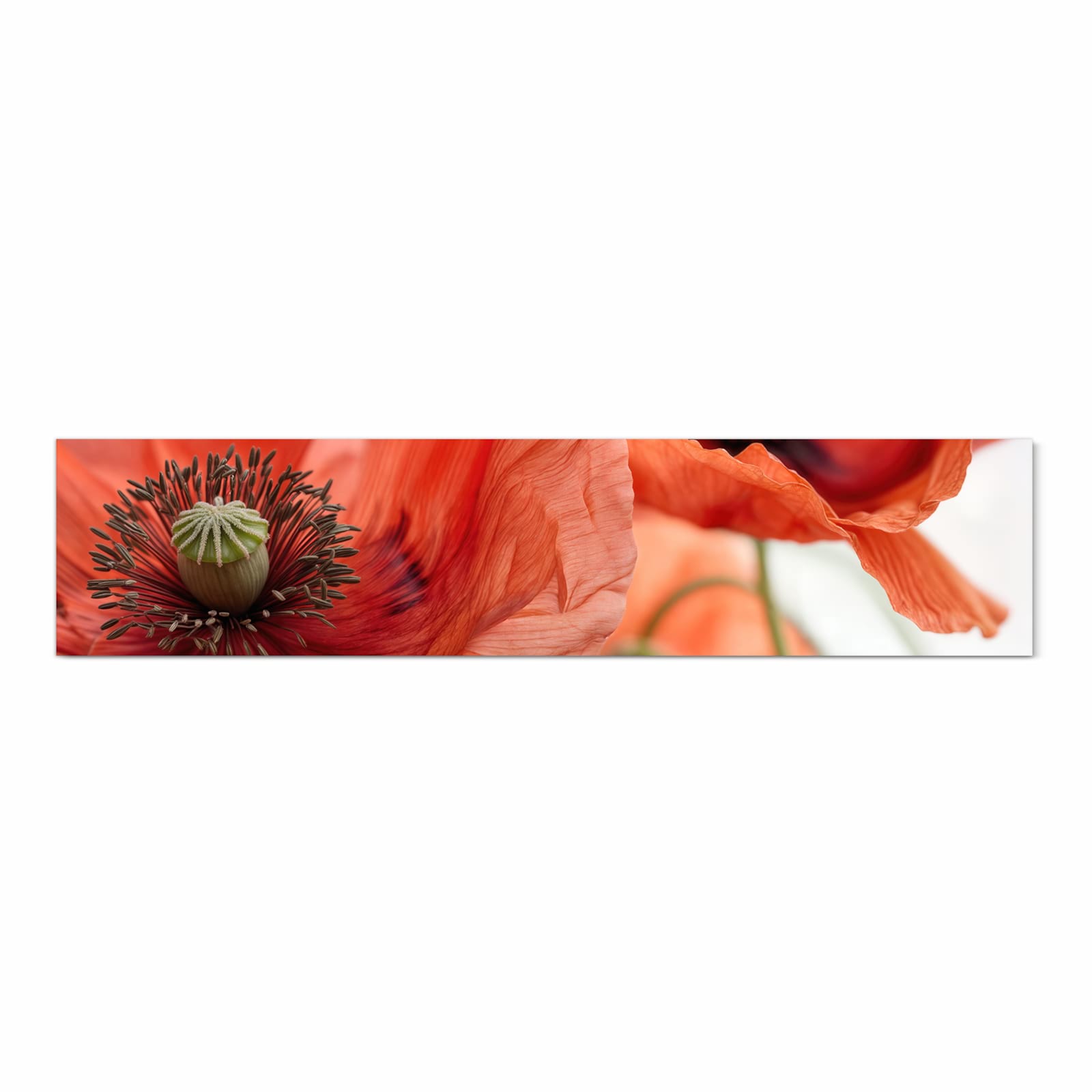 Flacher Küchenteppich mit Motiv Mohnblüten in Frontansicht