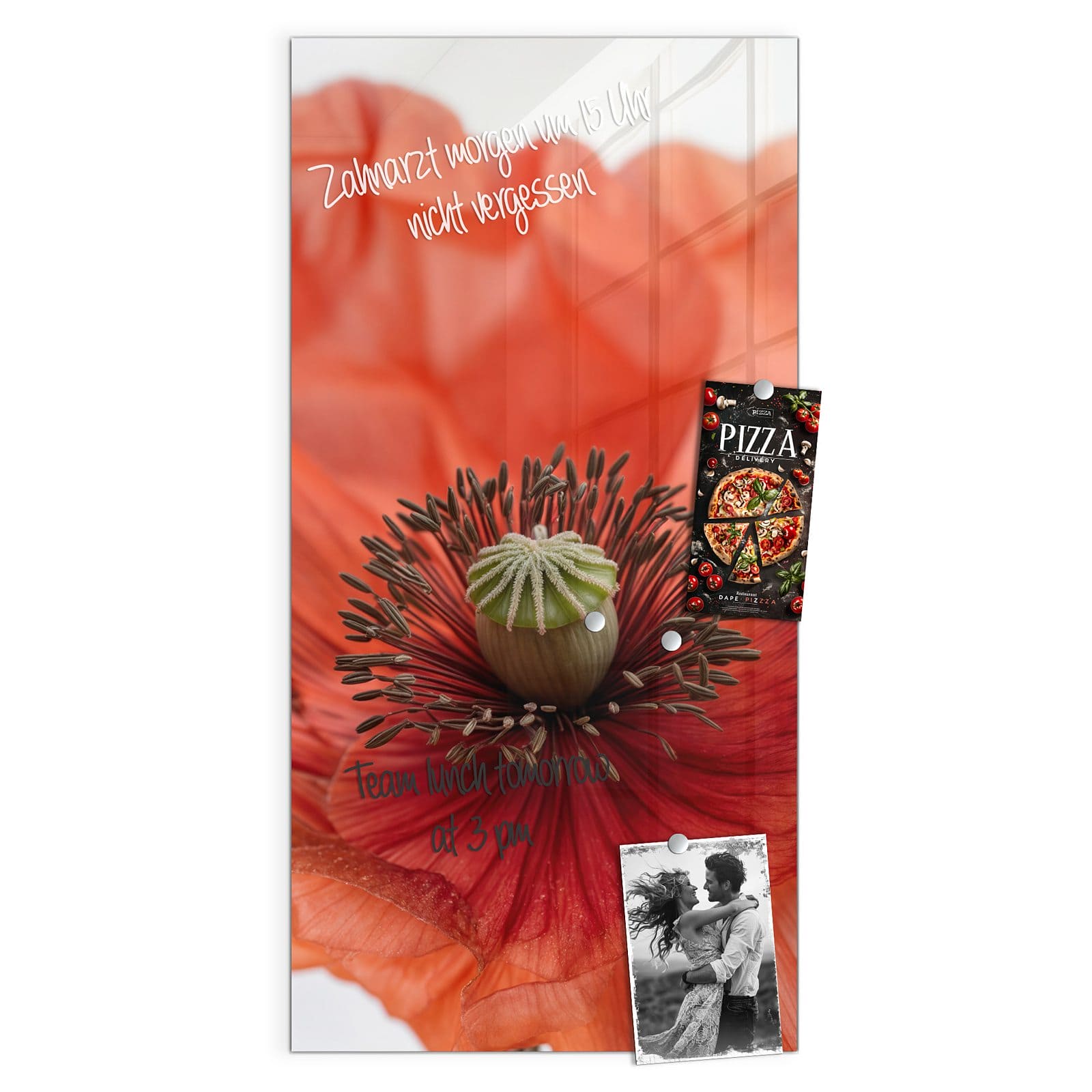 #grösse_50 x 100 cm