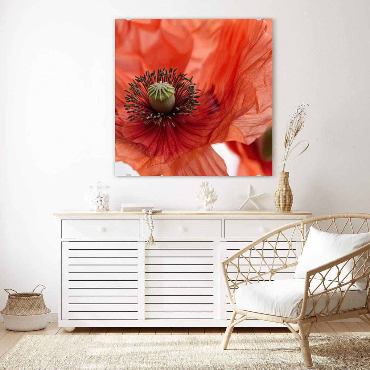 Glasbild Mohnblüten an der Wand – Großaufnahme einer orangeroten Mohnblüte mit grüner Samenkapsel, weitere Blüten dahinter