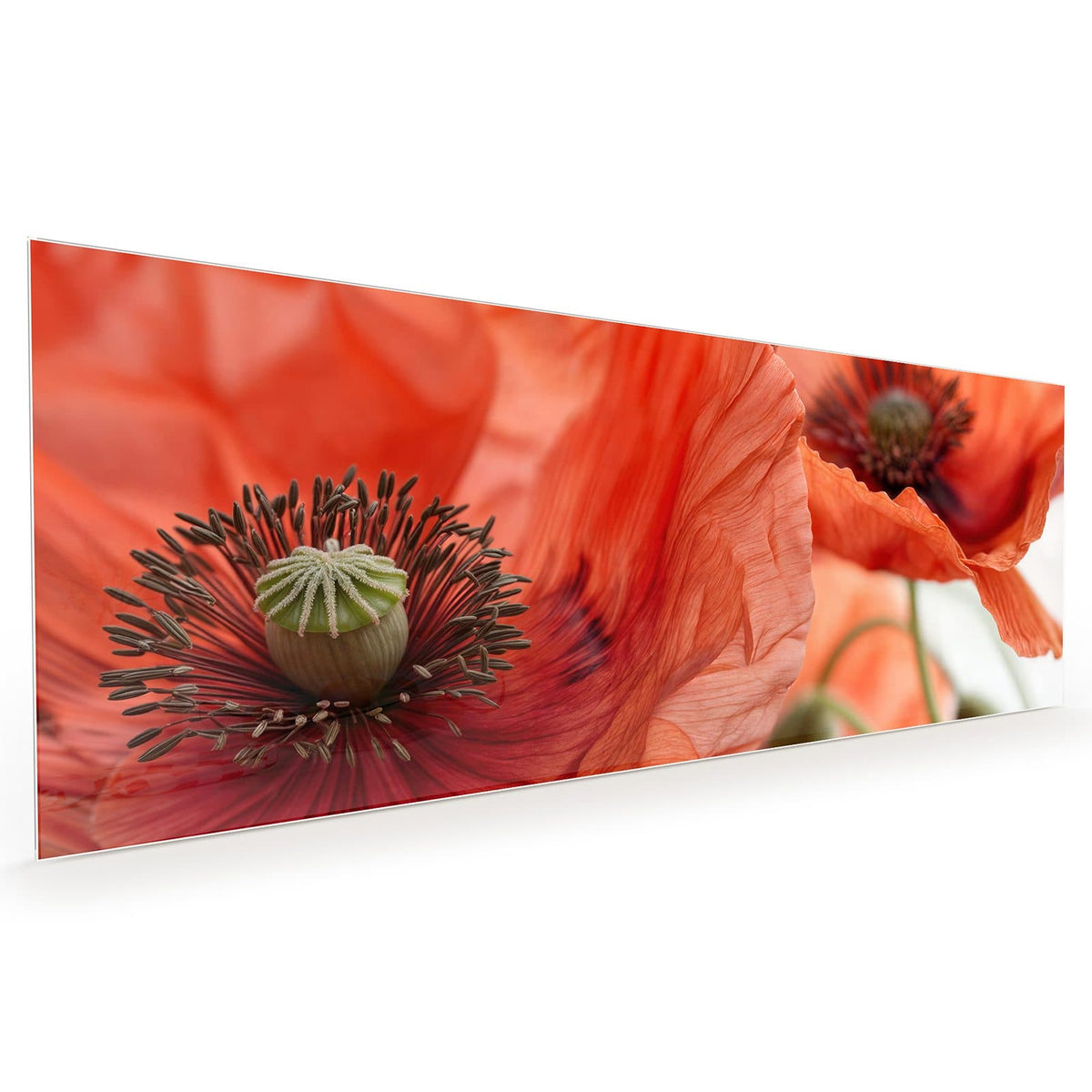 #grösse_40 x 100 cm #grösse_50 x 125 cm #grösse_60 x 150 cm