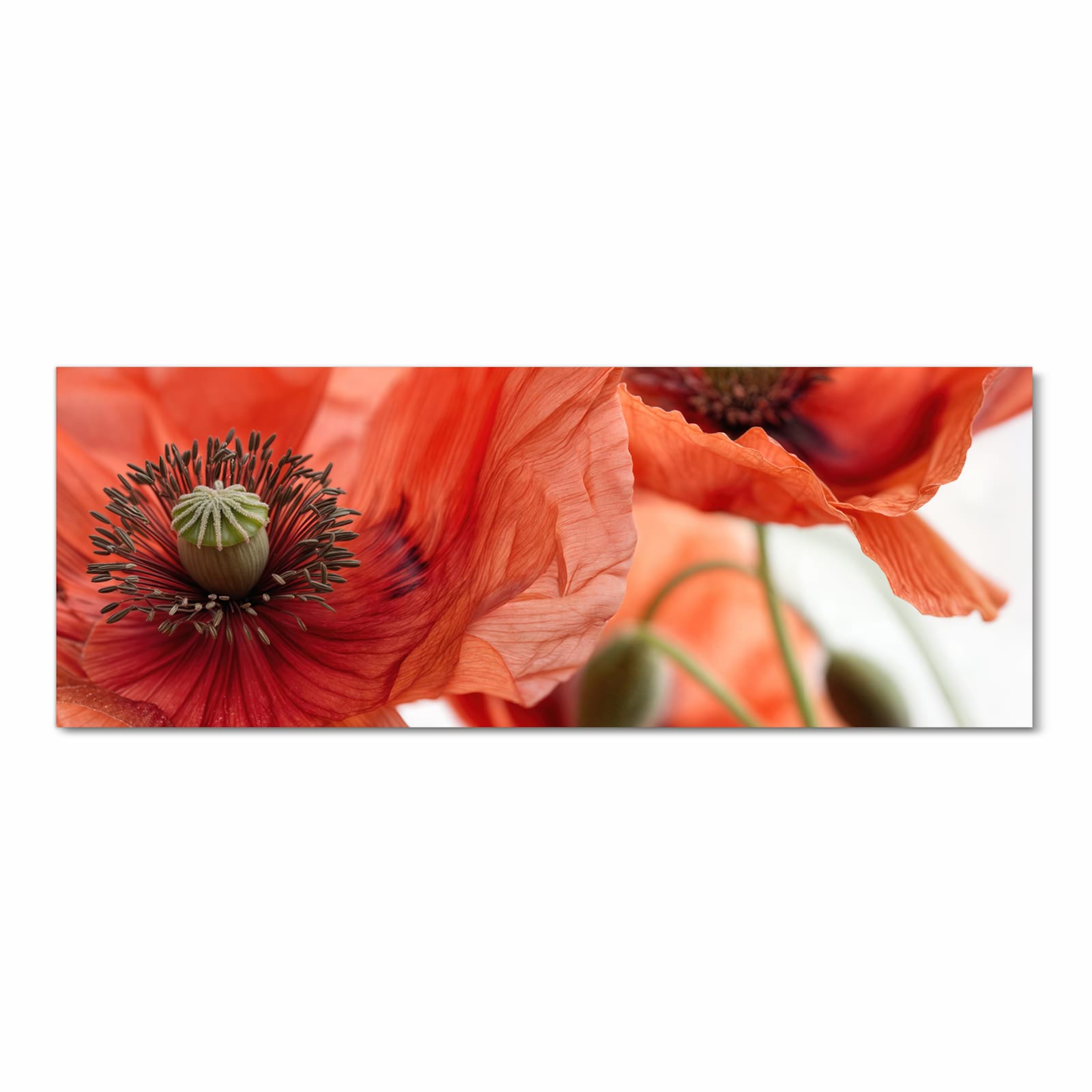 Hygienischer Küchenläufer mit Motiv Mohnblüten in Frontansicht - waschbar für die Küche