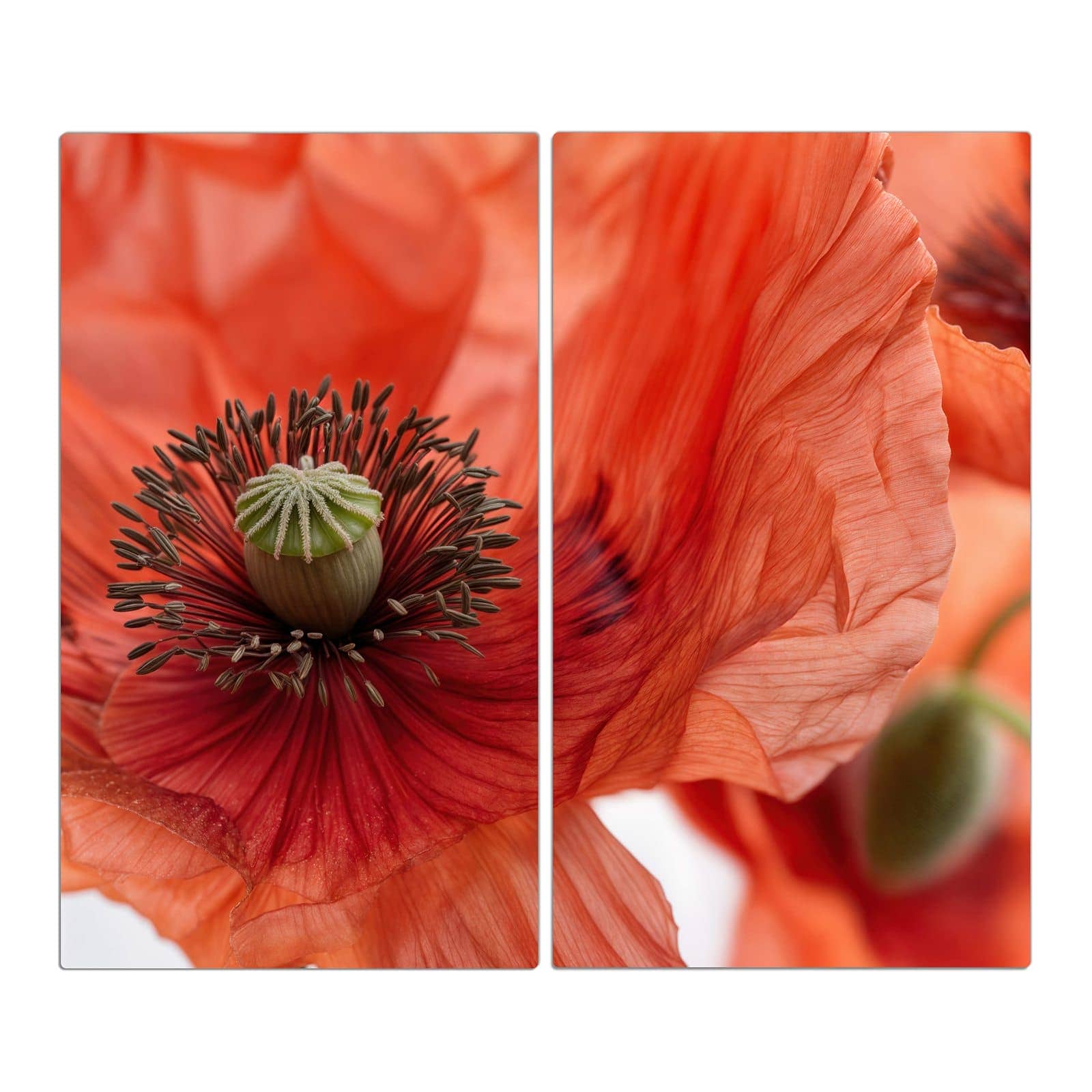 2-teilige Herdabdeckplatten für Ceranfeld mit Mohnblüten-Motiv in der Frontansicht #grösse_2-Teilig (60x52cm)