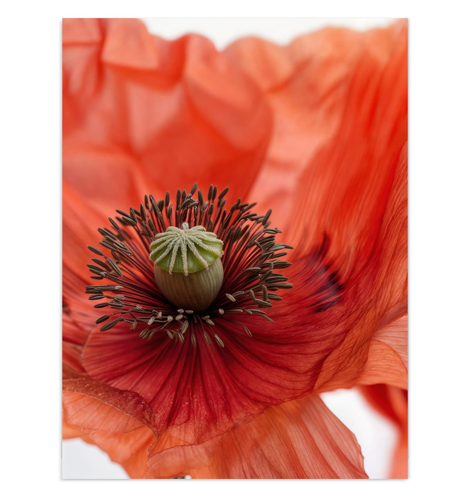 #grösse_30 x 40 cm #grösse_60 x 80 cm #grösse_75 x 100 cm