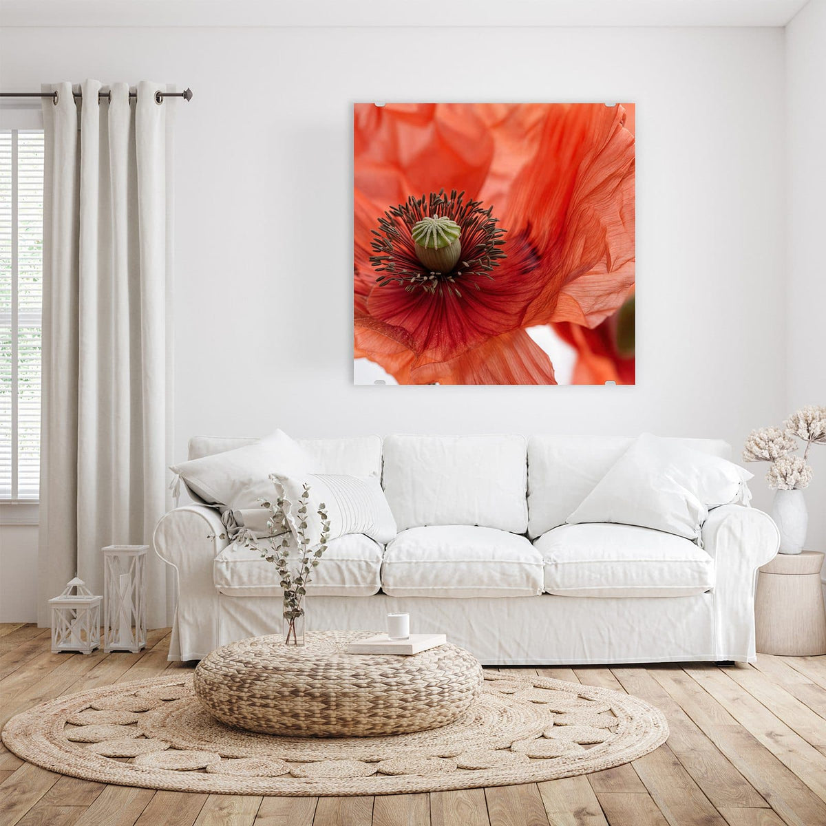 Glasbild Mohnblüten an der Wand – Großaufnahme einer orangeroten Mohnblüte mit grüner Samenkapsel, weitere Blüten dahinter