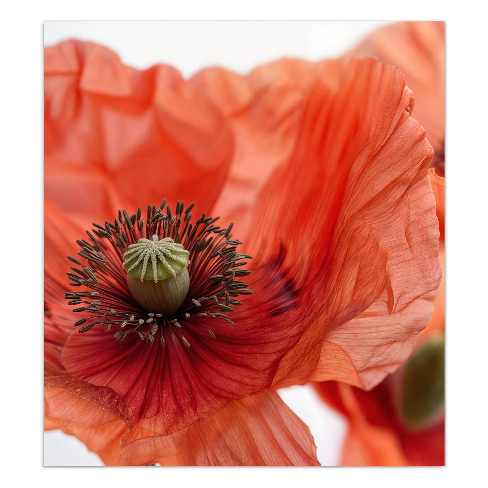 #grösse_90 x 100 cm