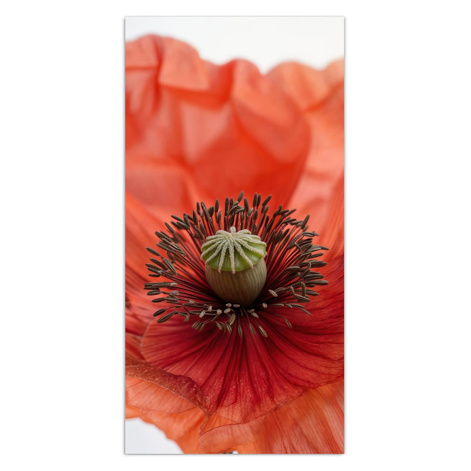 #grösse_30 x 60 cm #grösse_40 x 80 cm #grösse_50 x 100 cm #grösse_55 x 110 cm #grösse_60 x 120 cm