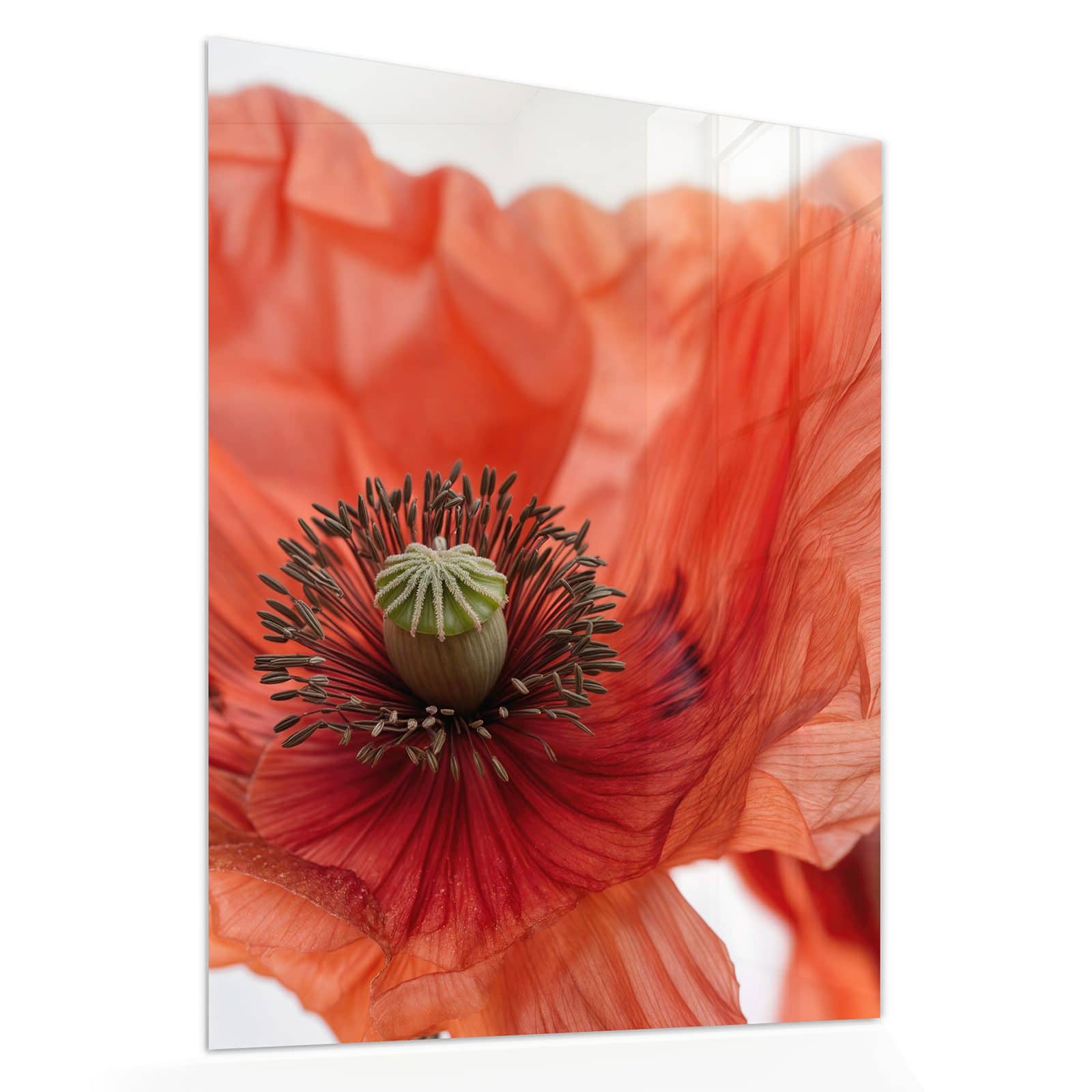 #grösse_60 x 75 cm #grösse_80 x 100 cm