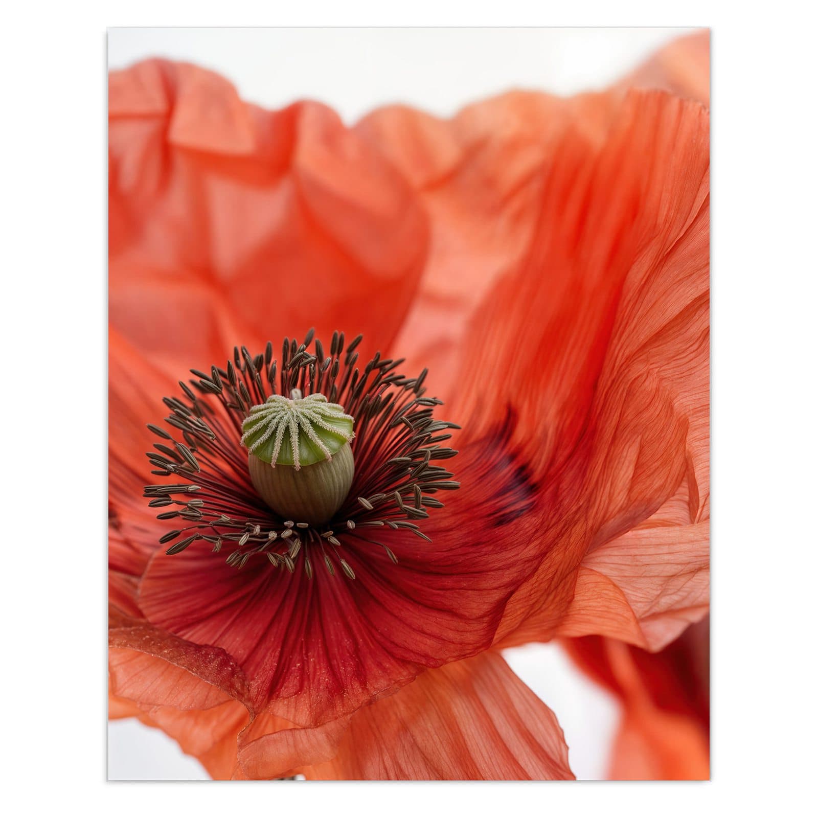 #grösse_60 x 75 cm #grösse_80 x 100 cm