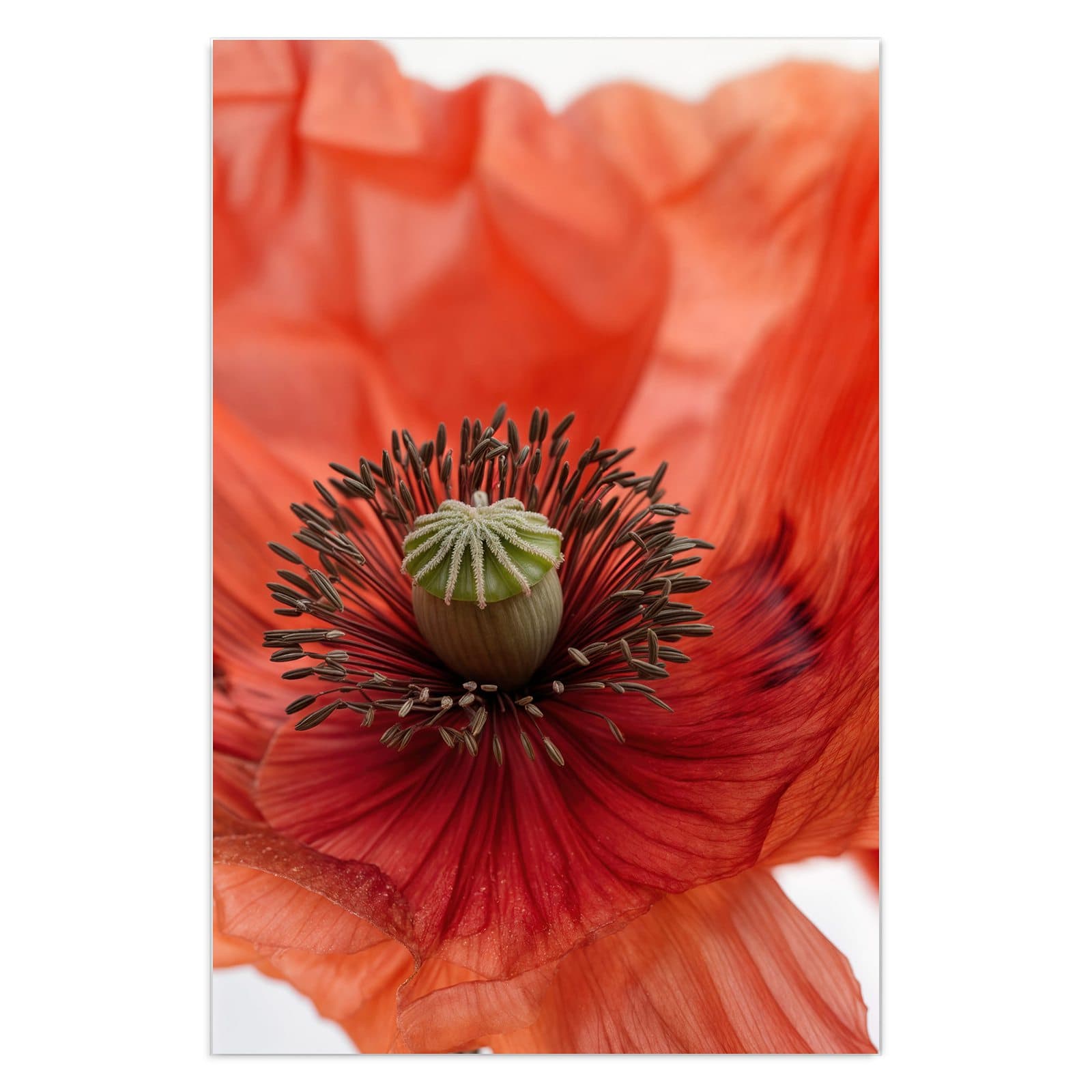 #grösse_40 x 60 cm #grösse_50 x 75 cm #grösse_60 x 90 cm