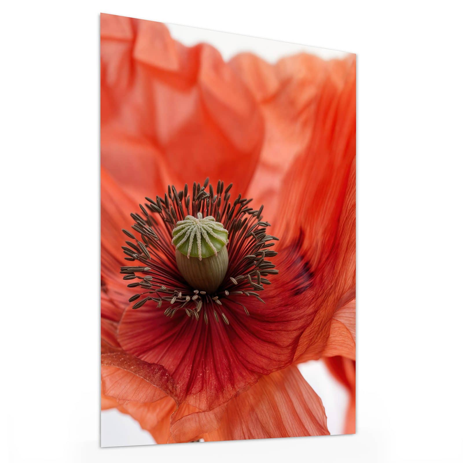 #grösse_30 x 40 cm #grösse_60 x 80 cm #grösse_75 x 100 cm