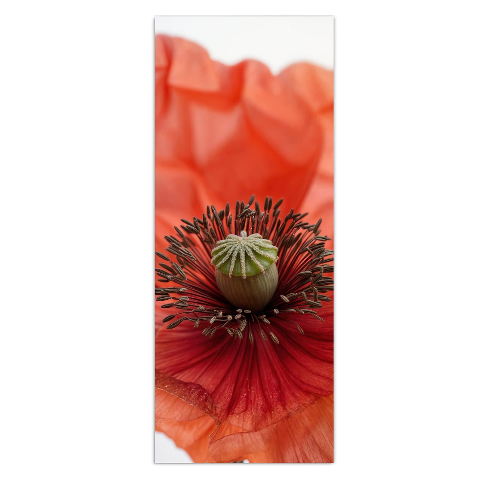 #grösse_50 x 125 cm #grösse_40 x 100 cm #grösse_60 x 150 cm