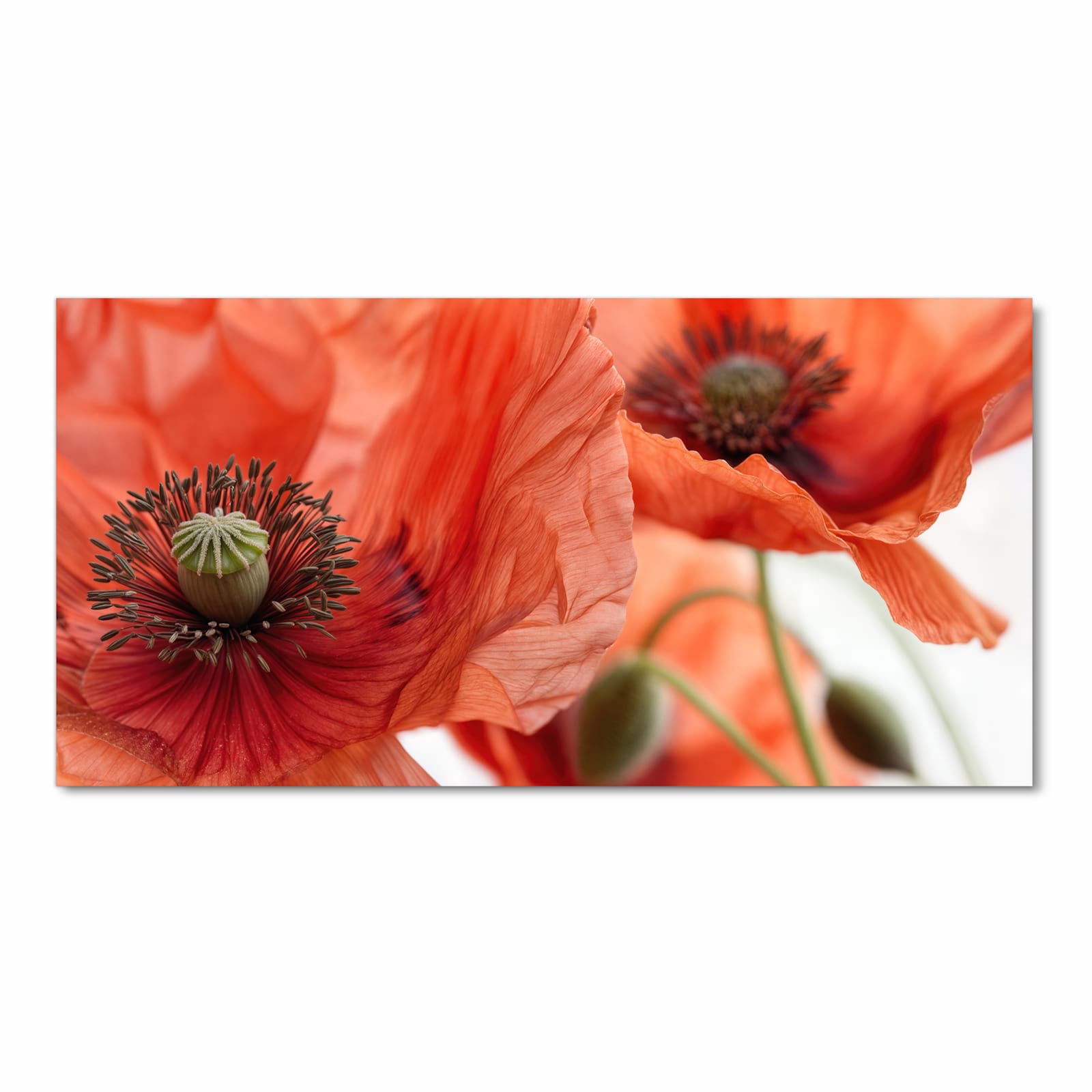 Fleckenresistenter Küchenteppich mit Motiv Mohnblüten in Frontansicht für die Küche