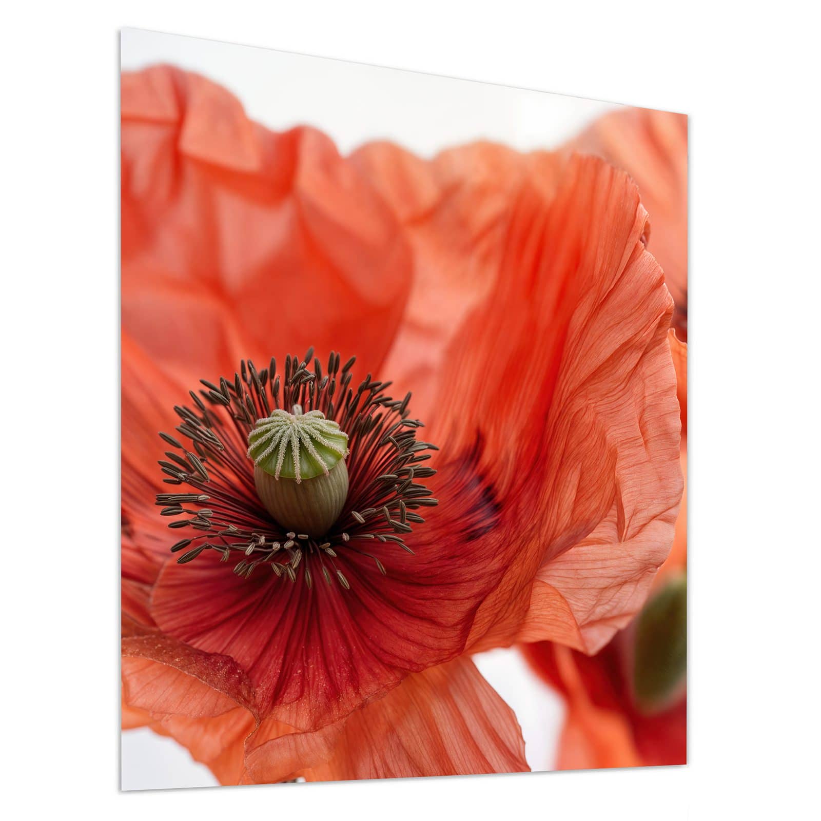 #grösse_90 x 100 cm