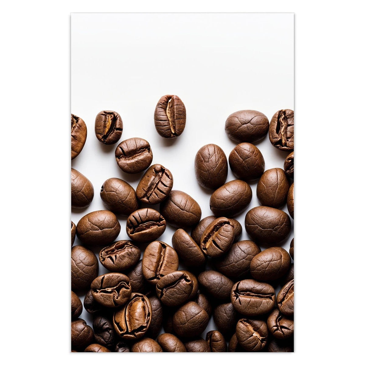 Geröstete Kaffeebohnen locker verstreut auf reinweißem Hintergrund