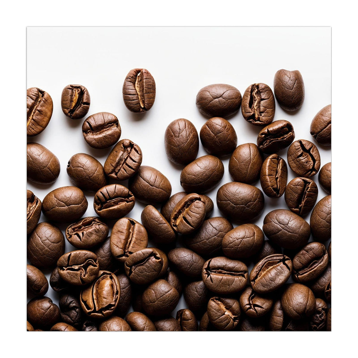 Geröstete Kaffeebohnen locker verstreut auf reinweißem Hintergrund
