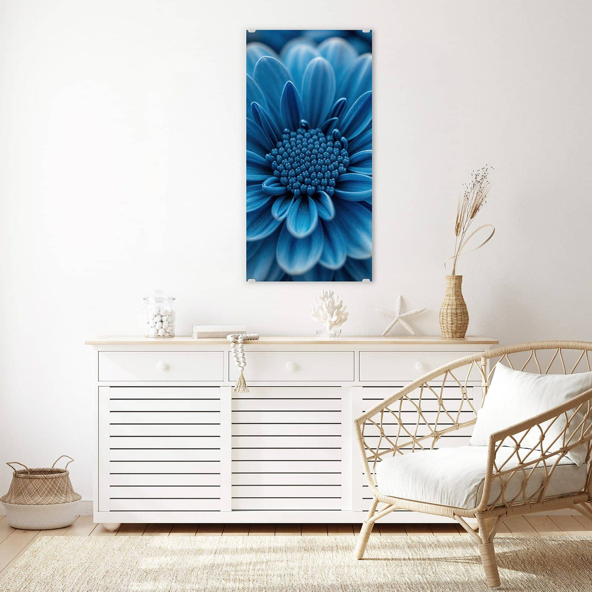 Glasbild Blaue Chrysantheme an der Wand – Makro einer dicht gefüllten, kräftig blauen Chrysanthemenblüte vor dunklem Grund.