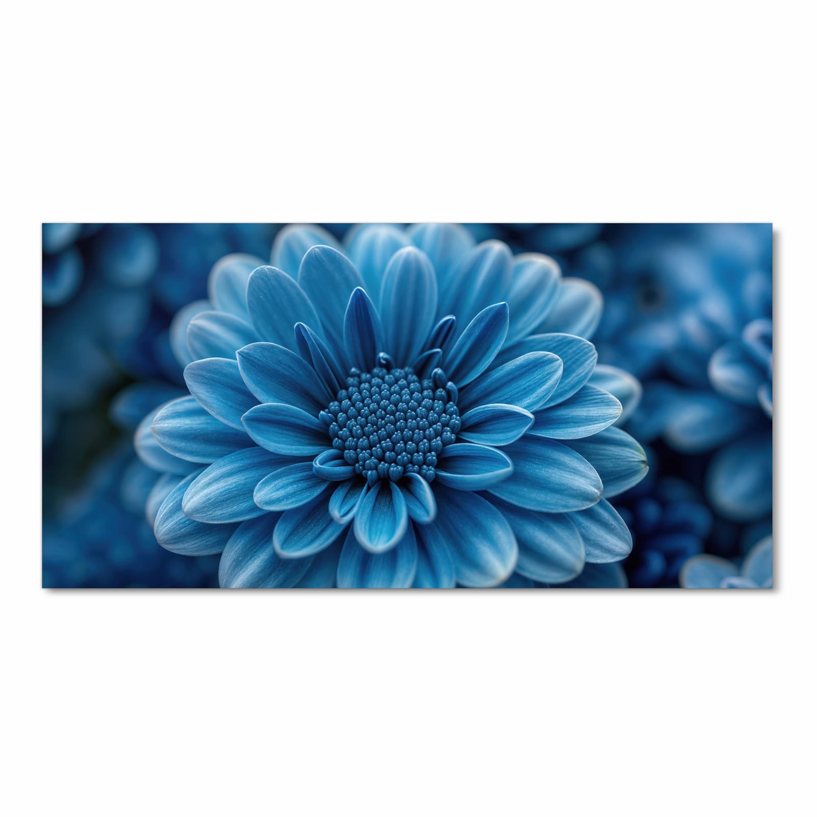 Geräuschdämpfender Küchenteppich mit Motiv Blaue Blume in Frontansicht