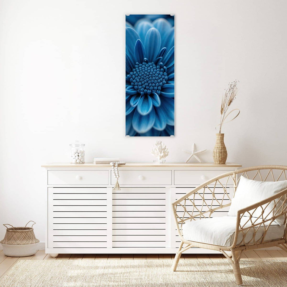 Makro einer dicht gefüllten, kräftig blauen Chrysanthemenblüte vor dunklem Grund.