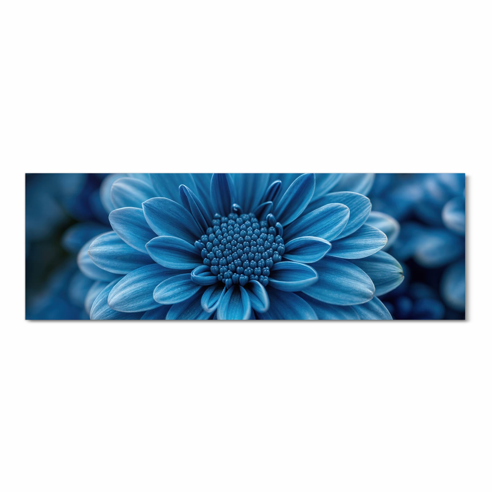 UV-beständiger Teppich für die Küche mit Motiv Blaue Blume in Frontansicht