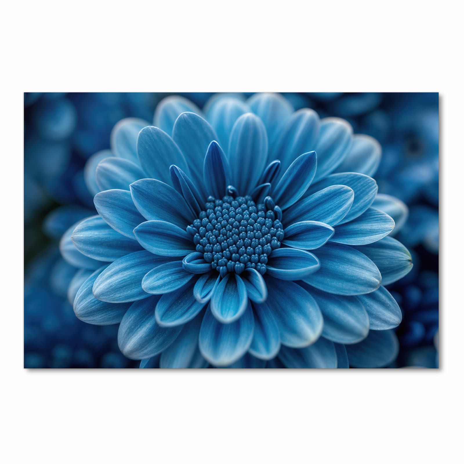 Schmutzabweisender Läufer für die Küche mit Motiv Blaue Blume in Frontansicht