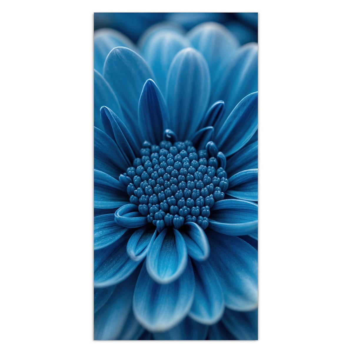11 Größen – von 30 × 60 bis 60 × 150 cm – Wandbild - Blaue Chrysantheme - Hochformat